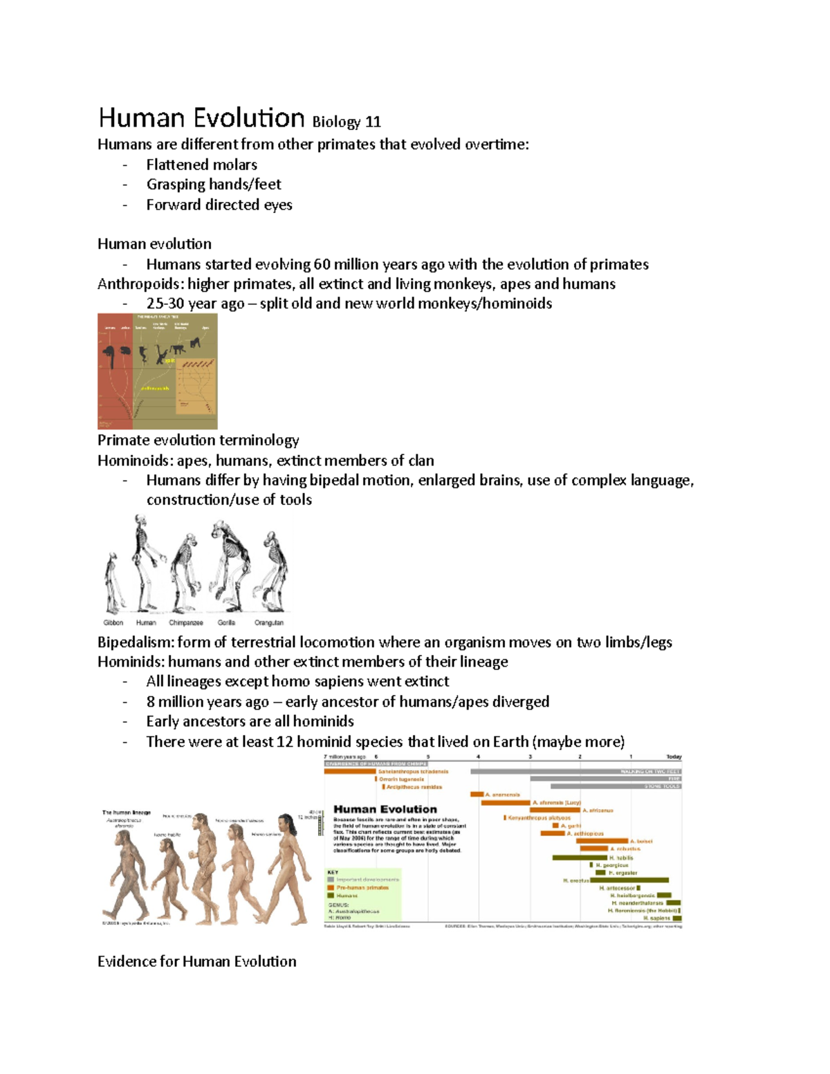 Human Evolution Biology 11 - Studocu