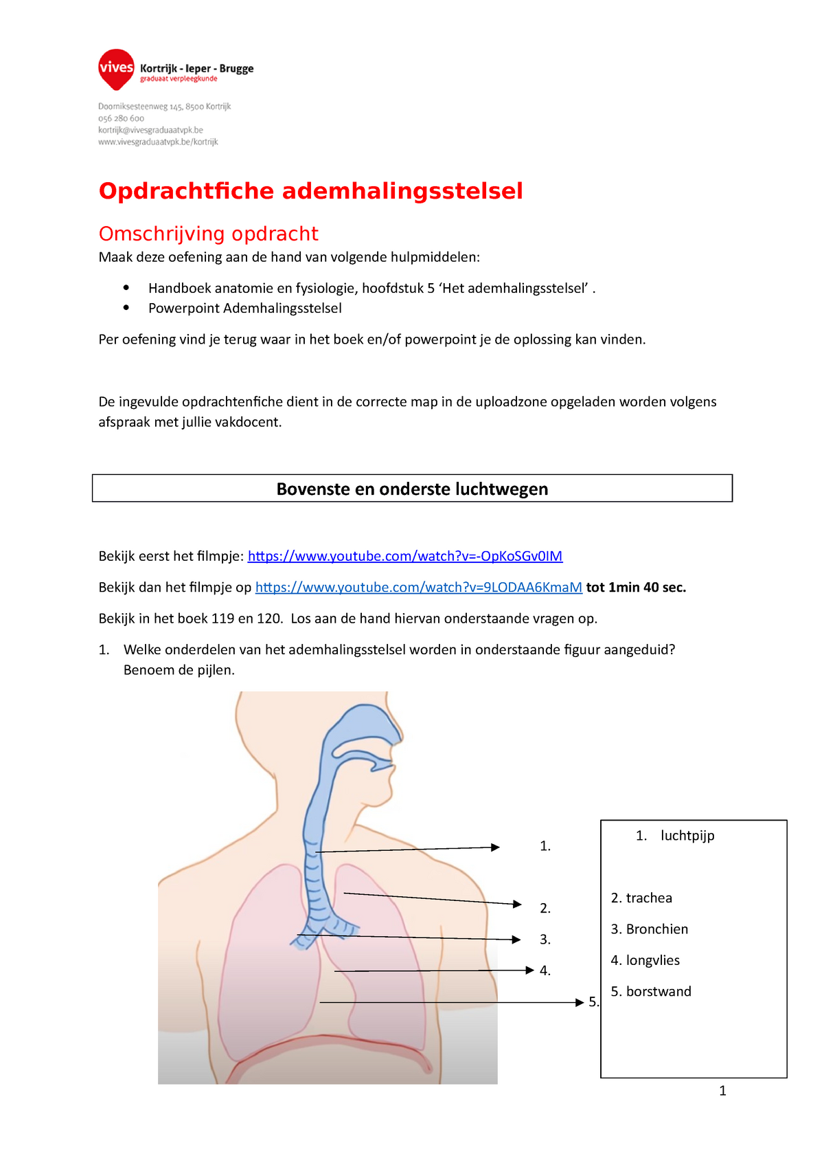 Opdrachtenfiche Ademhaling Opdrachtfiche Ademhalingsstelsel