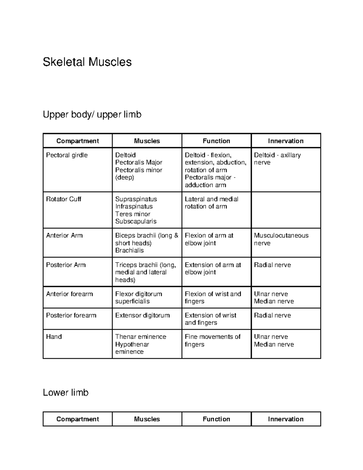 Upper Limb:lower Limb:thorax - Skeletal Muscles Upper Body  Upper Limb 