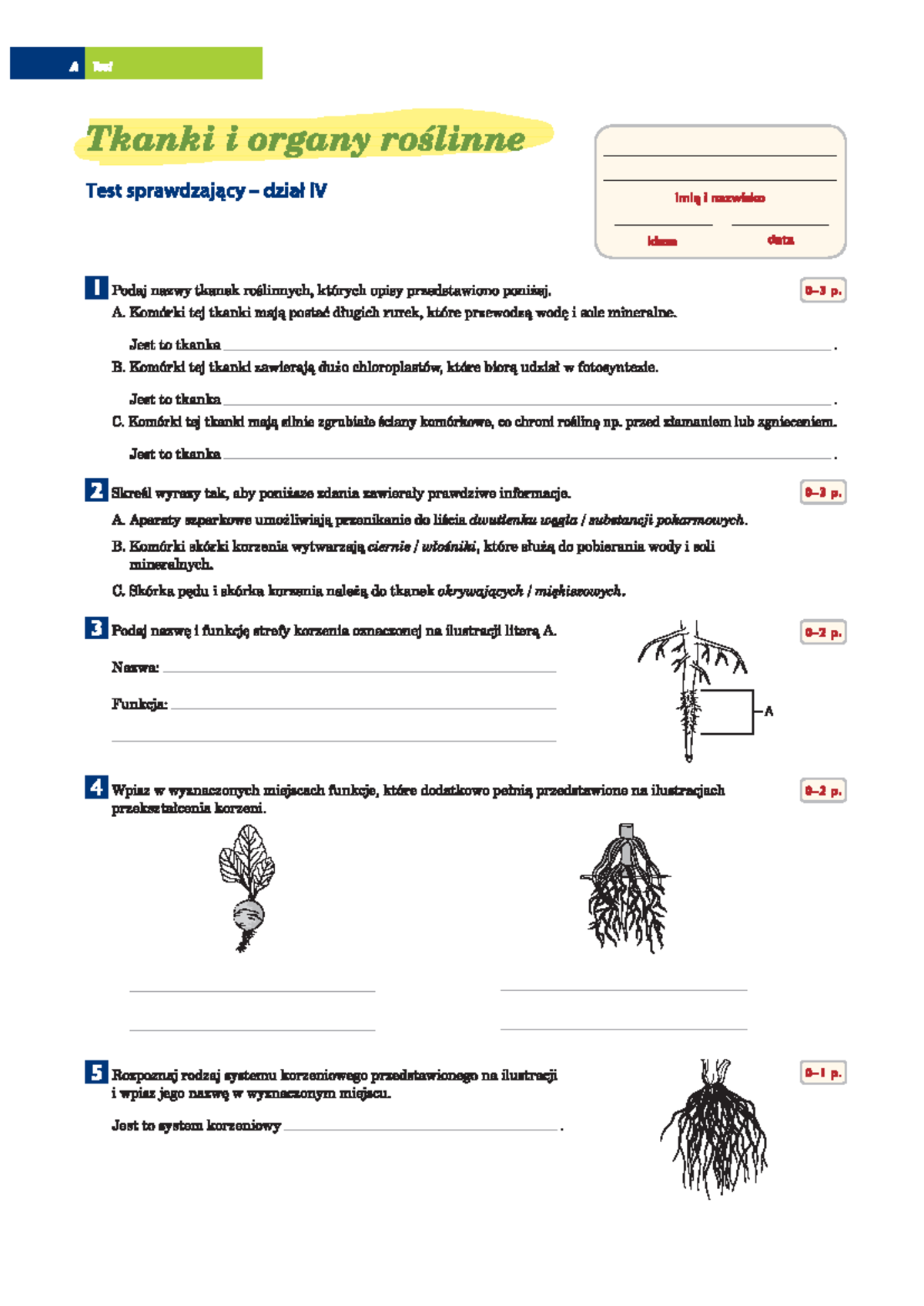 Test tkanki i organy roslinne - Biologia - Zakres podstawowy - Studocu
