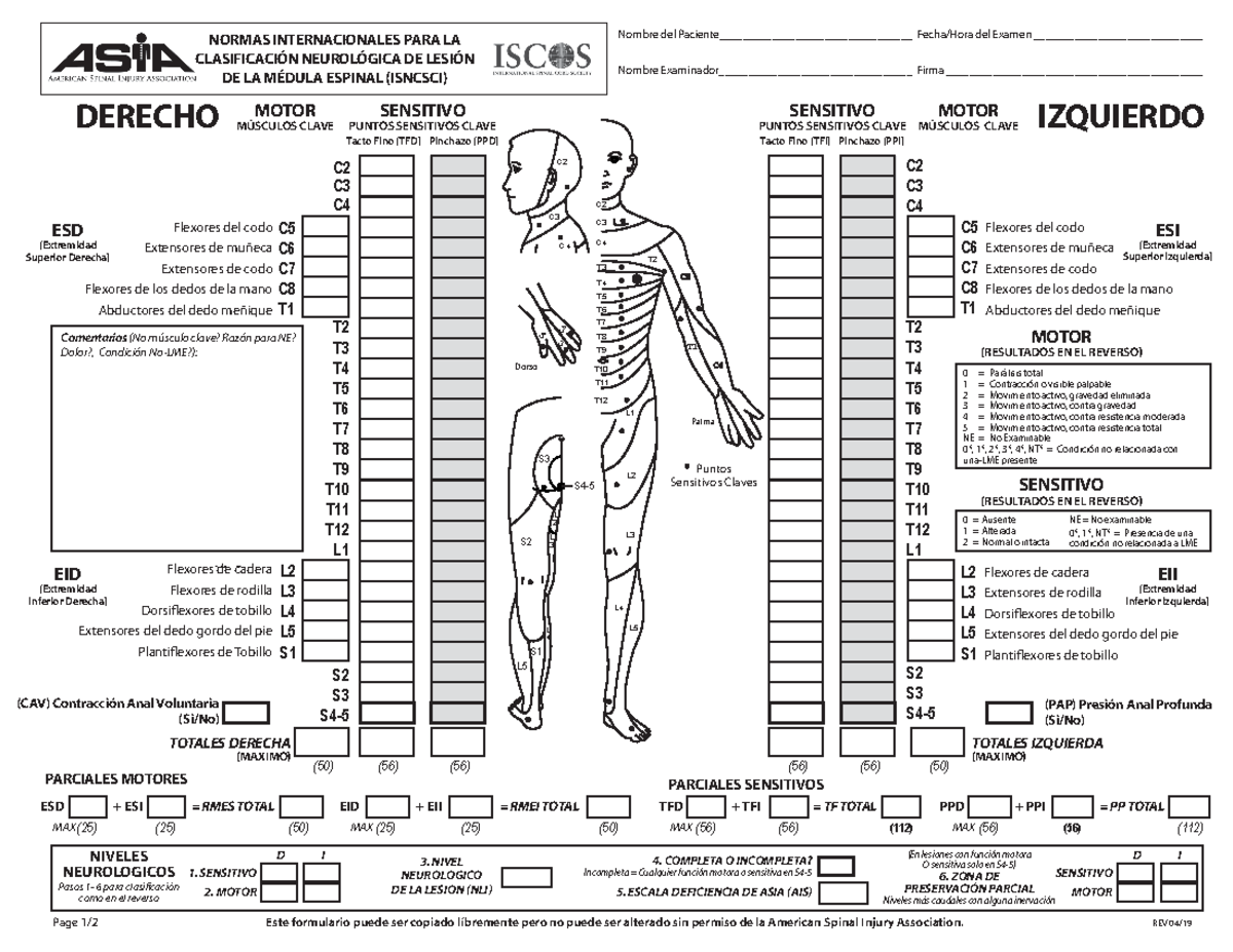 International Standards Worksheet Spanish Final (25) (25) (50) (25