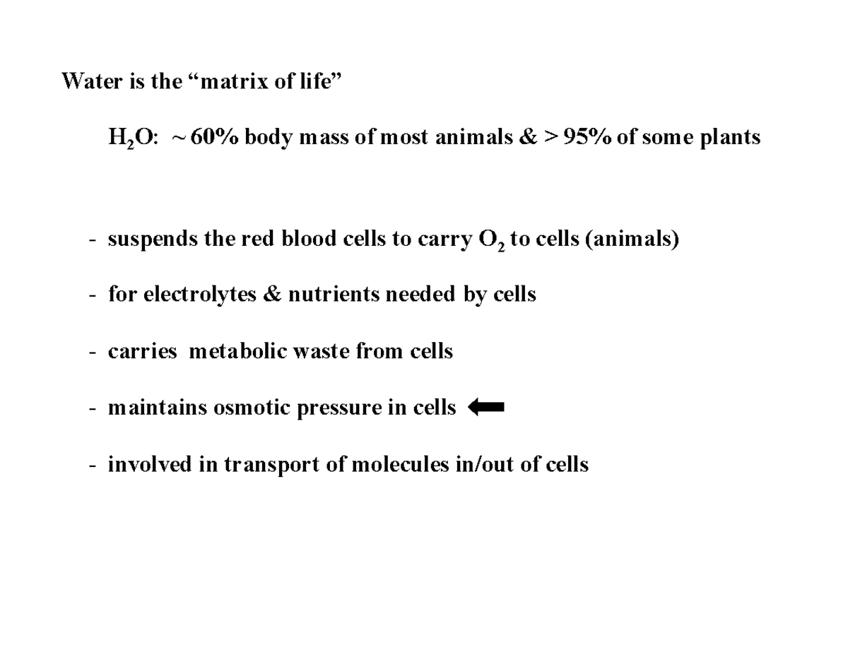 Lecture notes 8 Water is the matrix of Life Water is the “matrix of