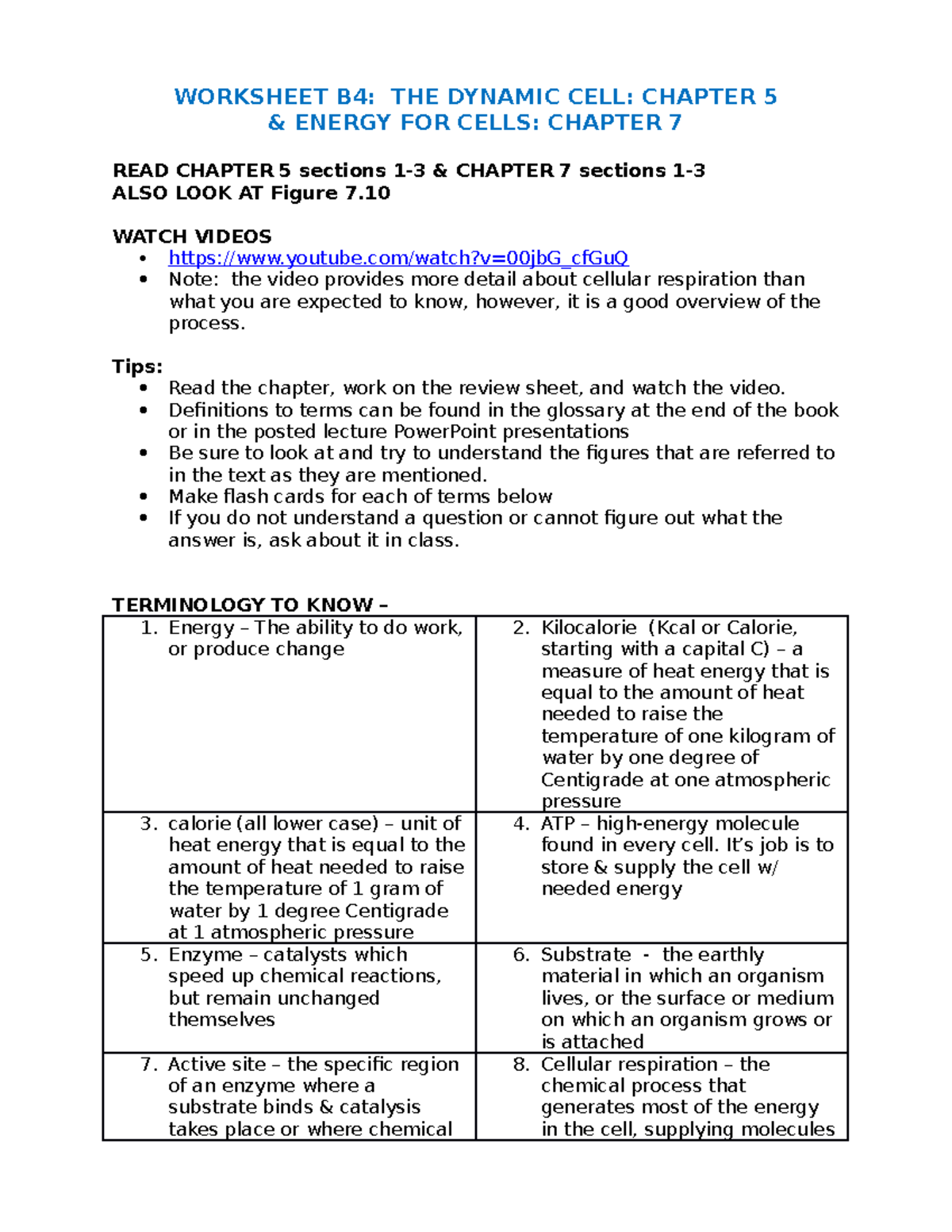 BIO B4 Worksheet - Professor Greg Dahlem - WORKSHEET B4: THE DYNAMIC ...