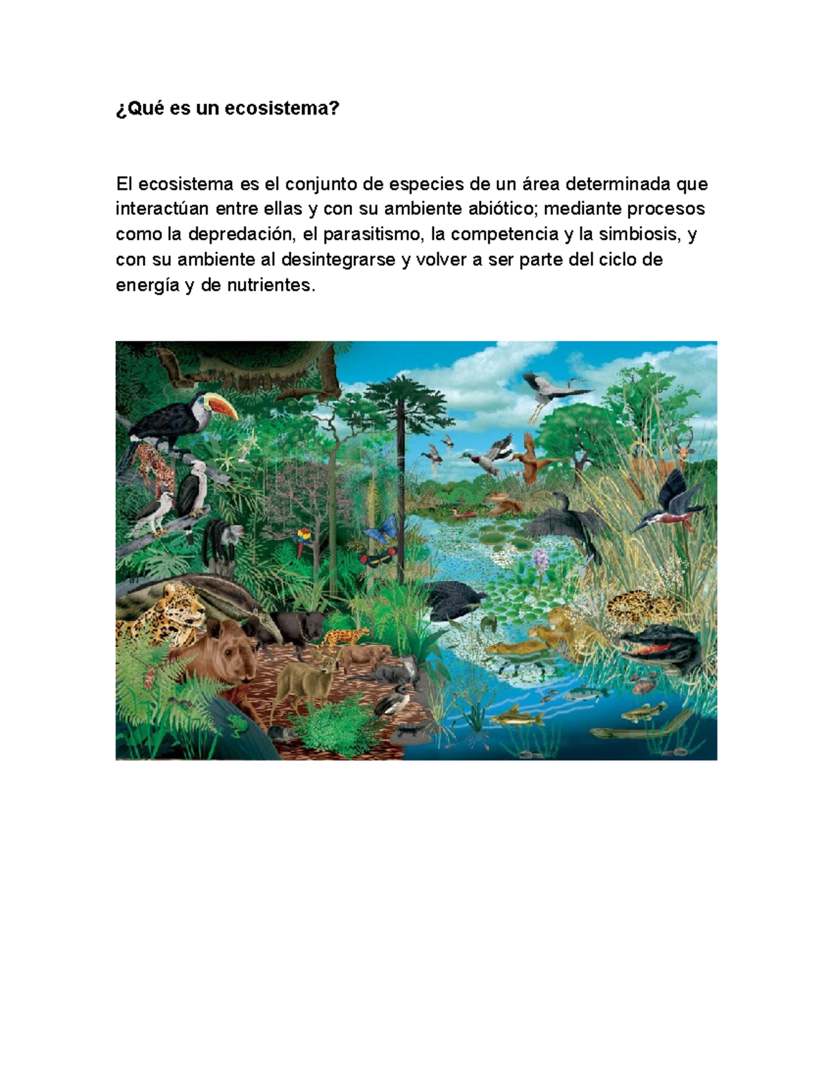 ecosistema-fisica-quimica-y-biologia-qu-es-un-ecosistema-el