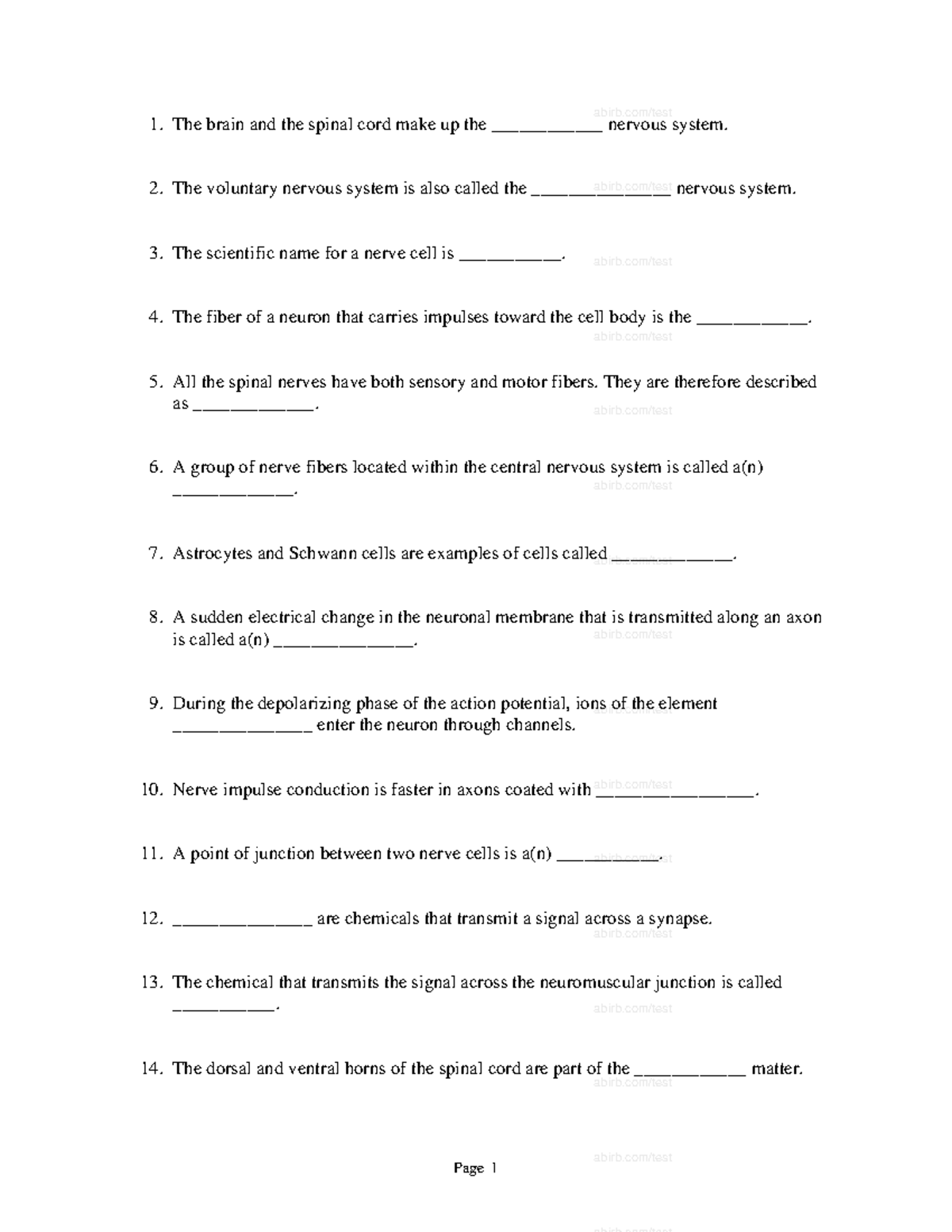 Chapter 09- The Nervous System- The Spinal - Page 1 The brain and the ...