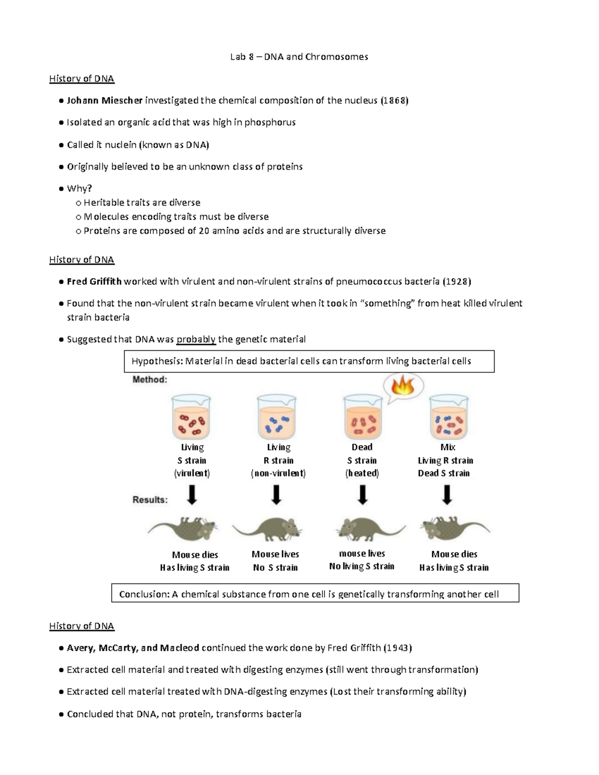 Lab 8 Nucleic Acids - Lab notes - Lab 8 – DNA and Chromosomes History ...