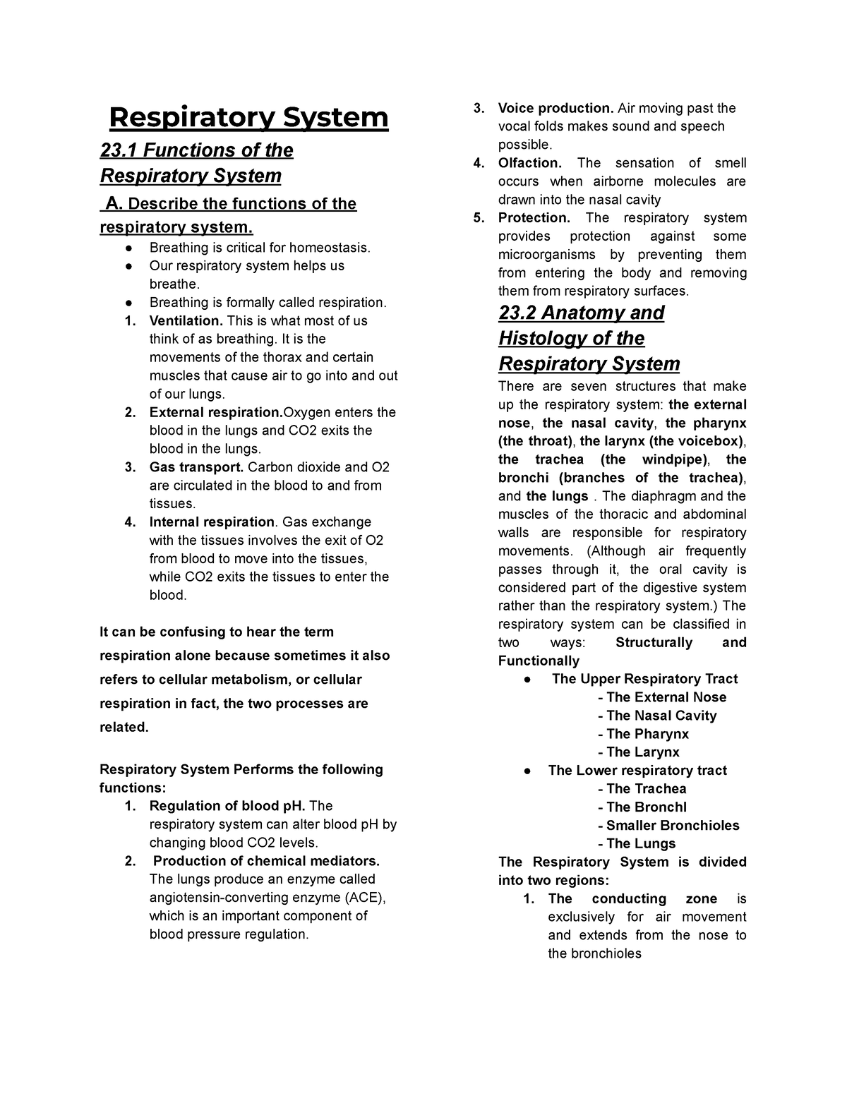 Respiratory System - Anaphy - Respiratory System 23 Functions of the ...