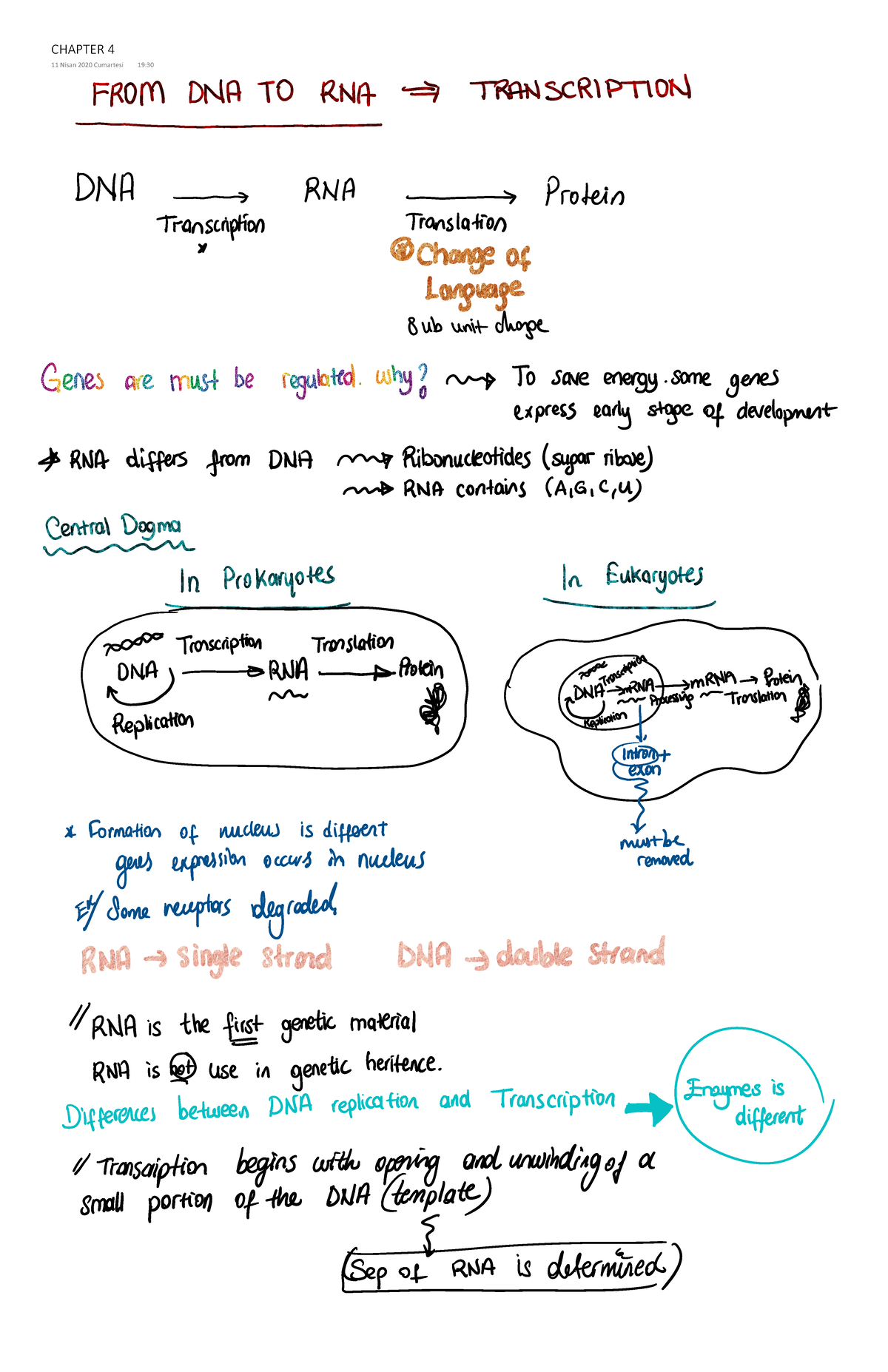 Chapter 4 lecture notes for the study - , Wd Z κ ϭϭ EŝƐĂŶ ϮϬϮϬ ƵŵĂƌƚĞƐŝ ...