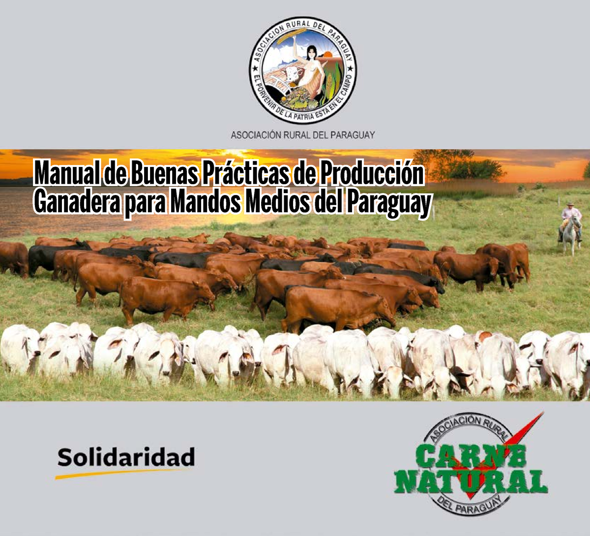 Manual DE Buenas Practicas Ganaderas Mandos Medios - Manual De Buenas ...