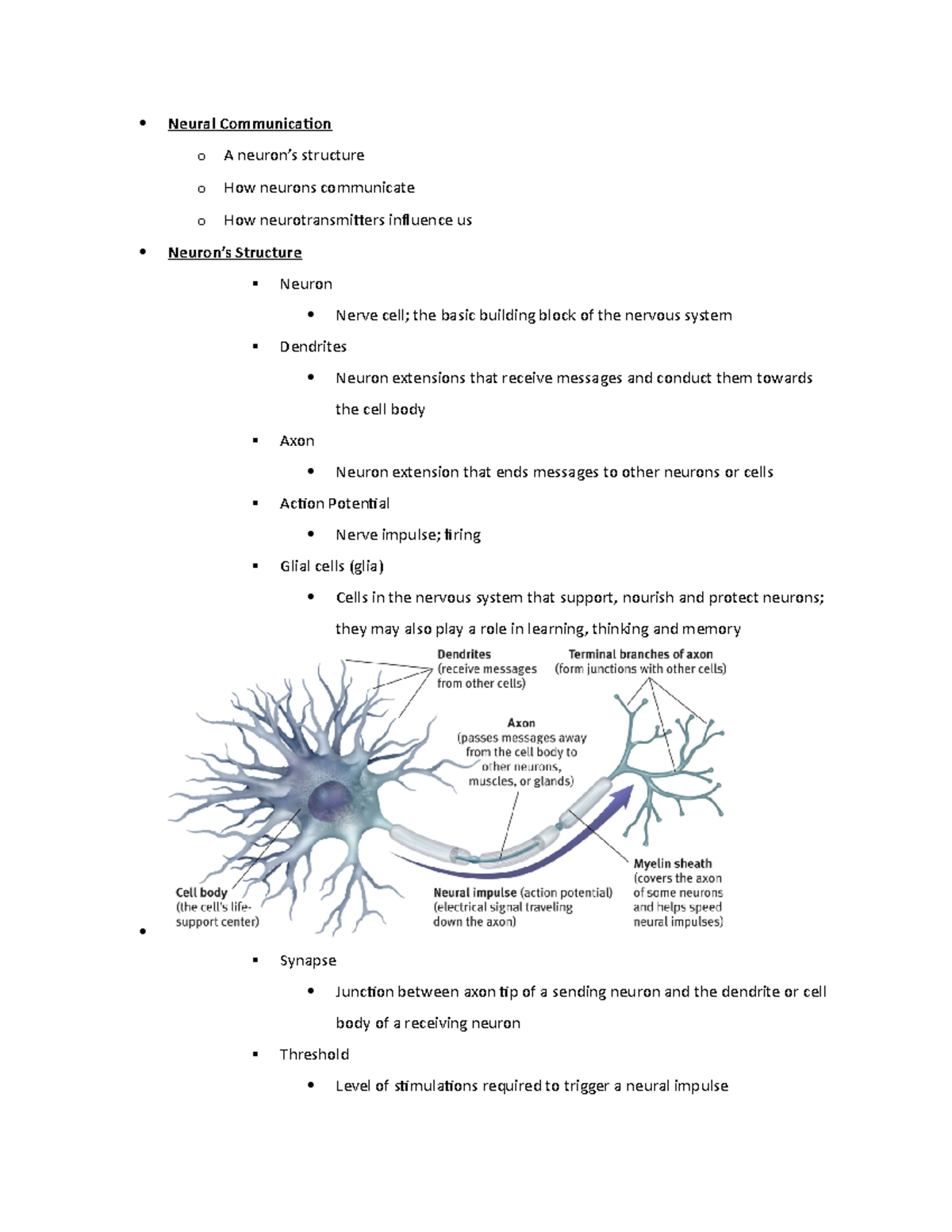 Chap 2 Neurons On Exam - Professor Riccitelli - Neural Communication o ...