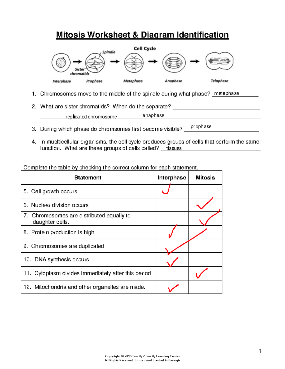 Kami Export - Jaylen Jasper - Copy of Mitosis Worksheet Diagram  Identification-1 - All Rights - Studocu
