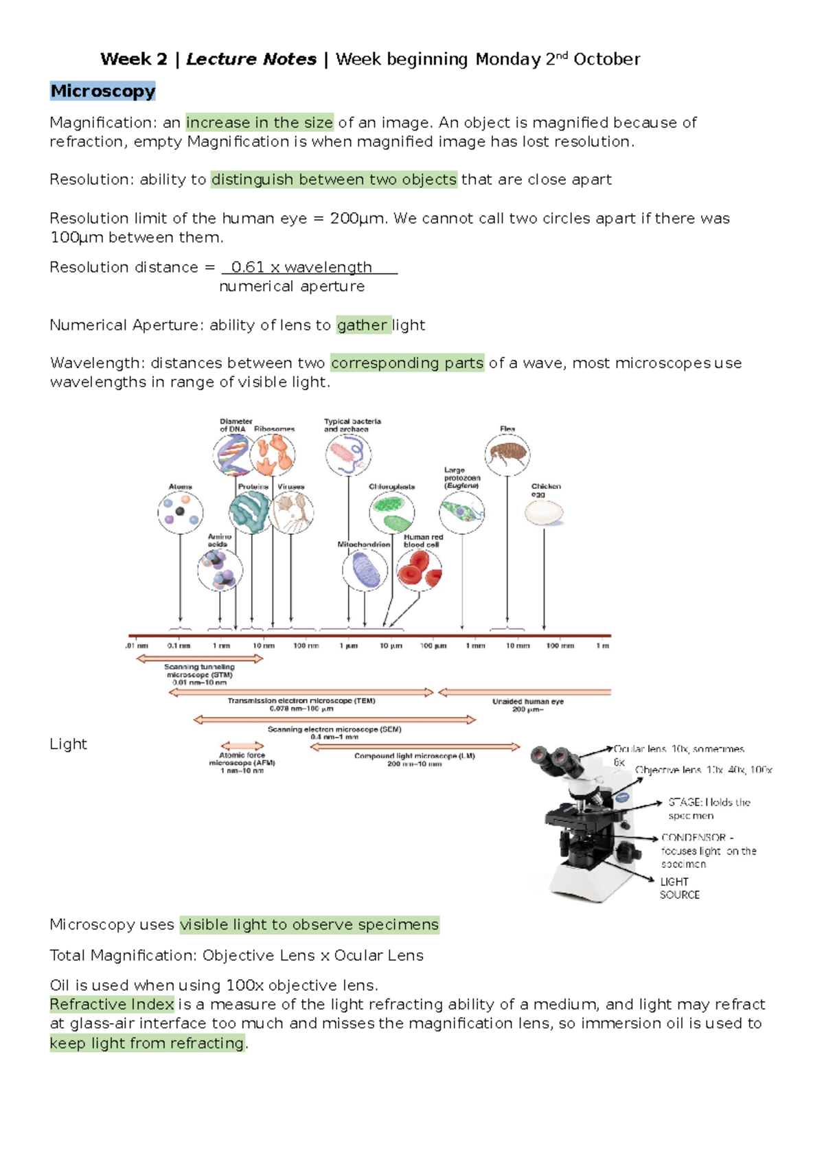 Microscopy and Magnification - Week 2 | Lecture Notes | Week beginning ...