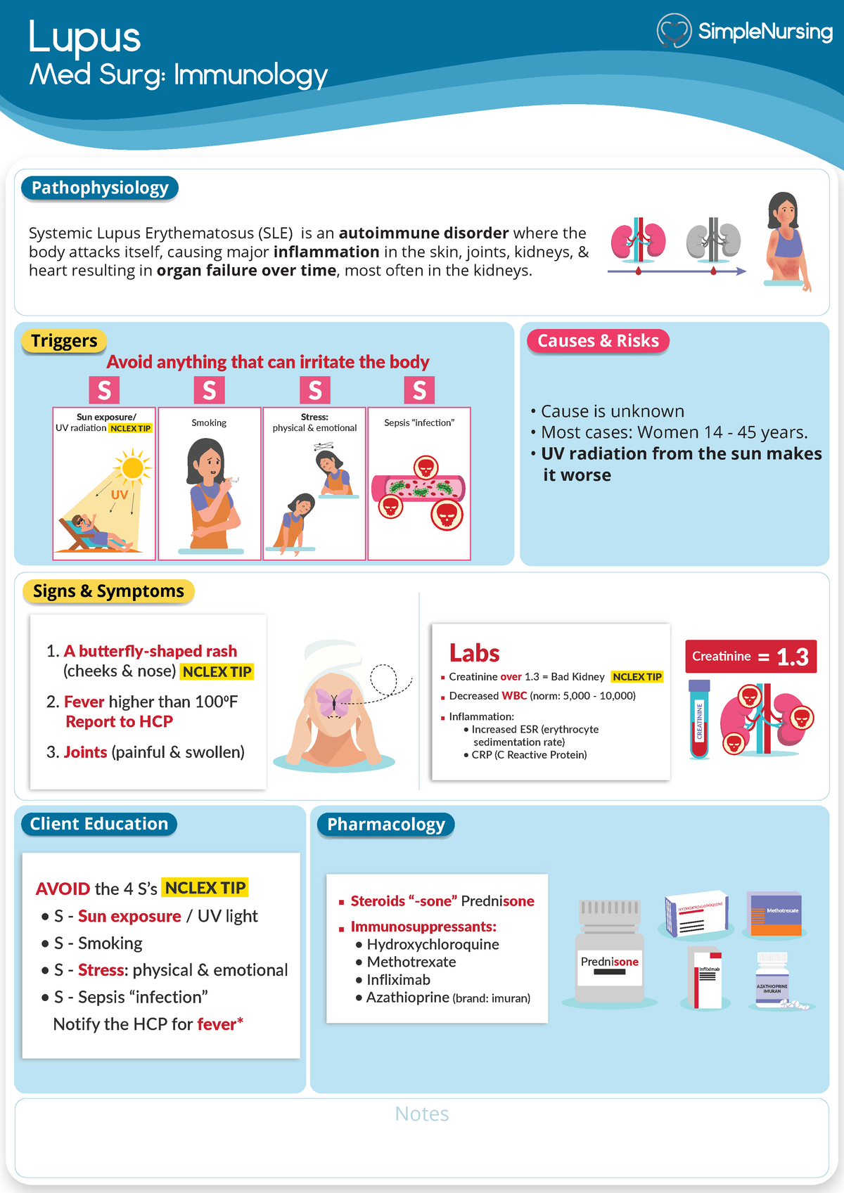 Immunology - Lupus Med Surg: Immunology Notes Triggers Causes & Risks 