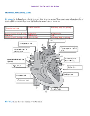 204 Chapter 19 Study Guide - Chapter 19: Care of Patients with Cardiac ...