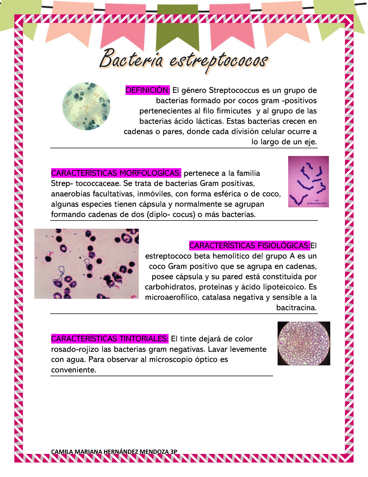 Streptococos Mapa Mental - CAMILA MARIANA HERNÁNDEZ MENDOZA 3P ...