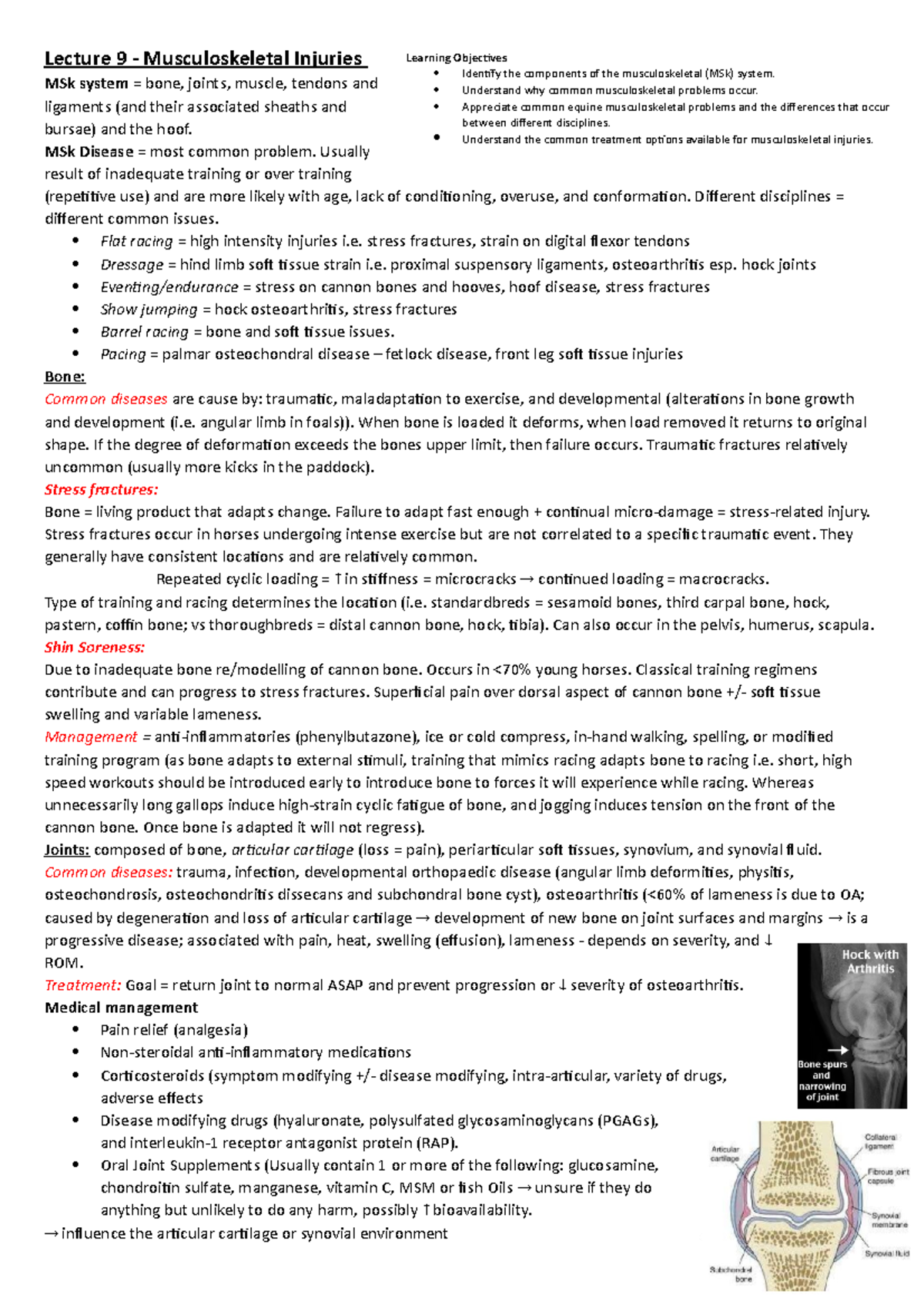 L9 - Msk Injuries - Lecture notes 9 - Lecture 9 - Musculoskeletal ...
