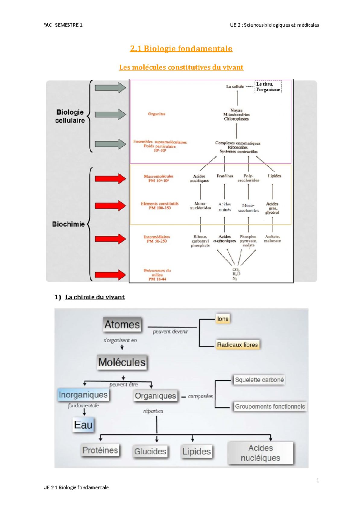 S1 UE2.1 - Cours FAC - 2 Biologie Fondamentale Les Molécules ...