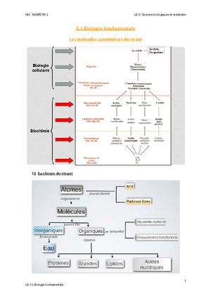 S3 UE2.5 - Cours IFSI - 2. 5 Processus inflammatoires et infectieux ...