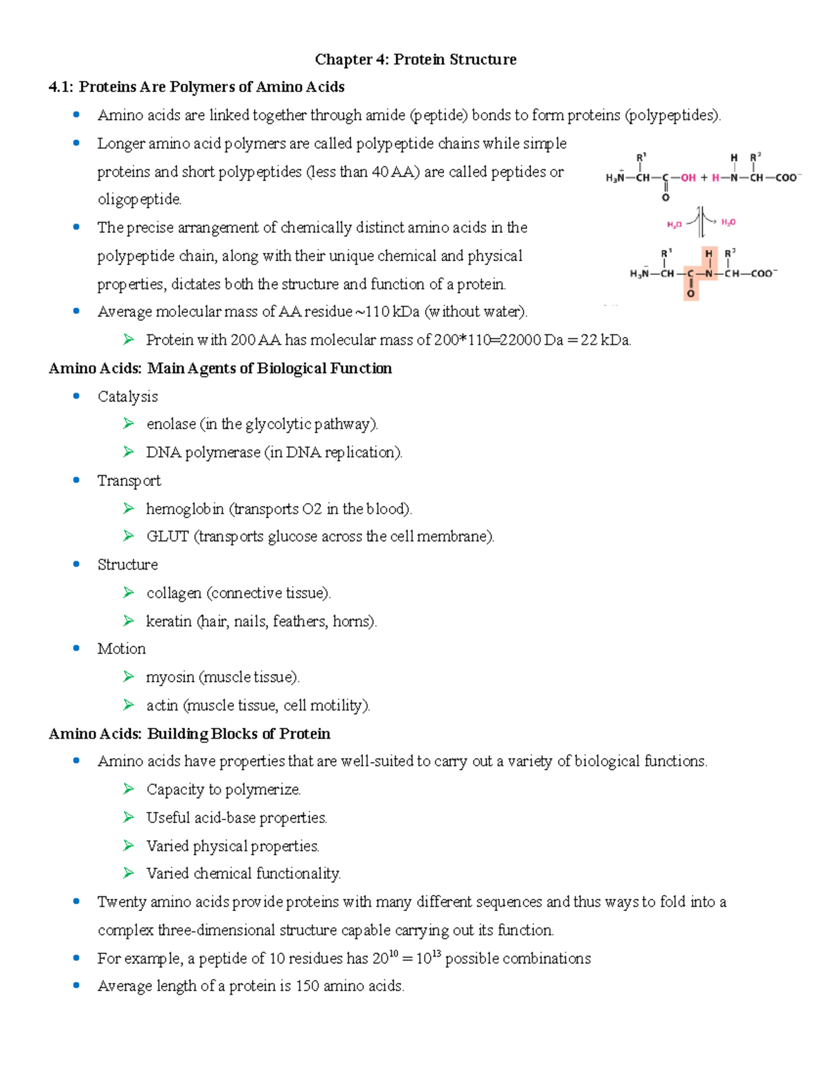 CH4 Summary - Chapter 4: Protein Structure 4: Proteins Are Polymers Of ...