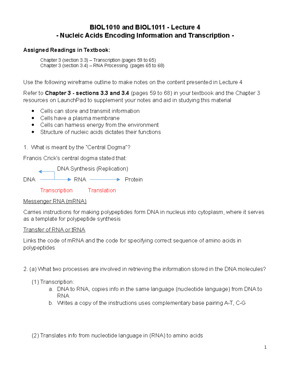 BIOL10101011L4Nucleic Acids and TranscriptionWireframe Notes