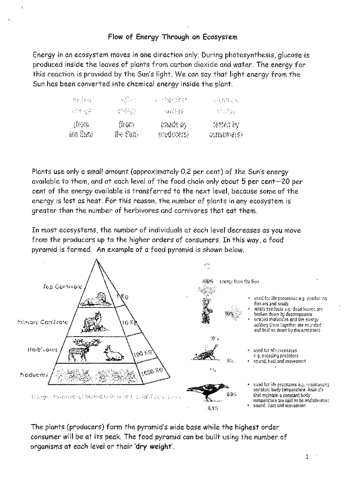 Answers - Food chains and food webs worksheet Fundamentals of Science ...