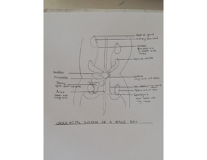 life science grade 10 assignment may 2022