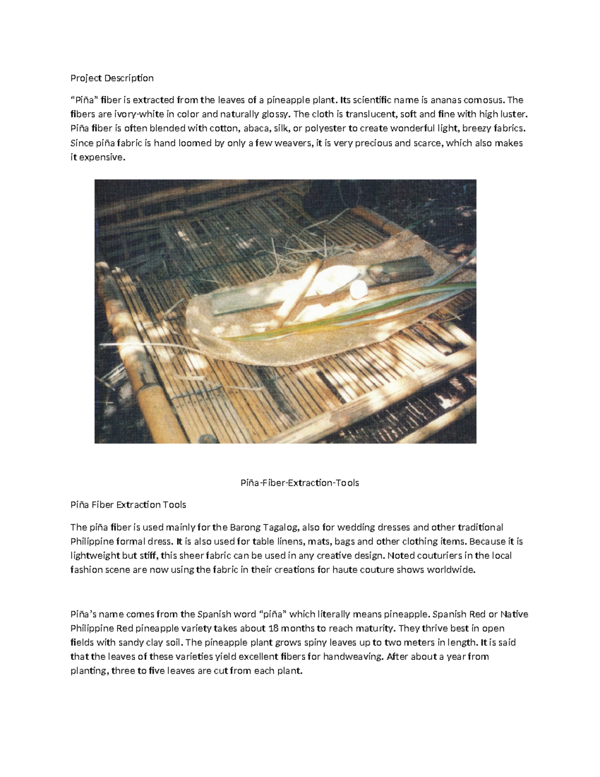 History And Origin Of Piña (Report Guide) - Project Description “Piña ...