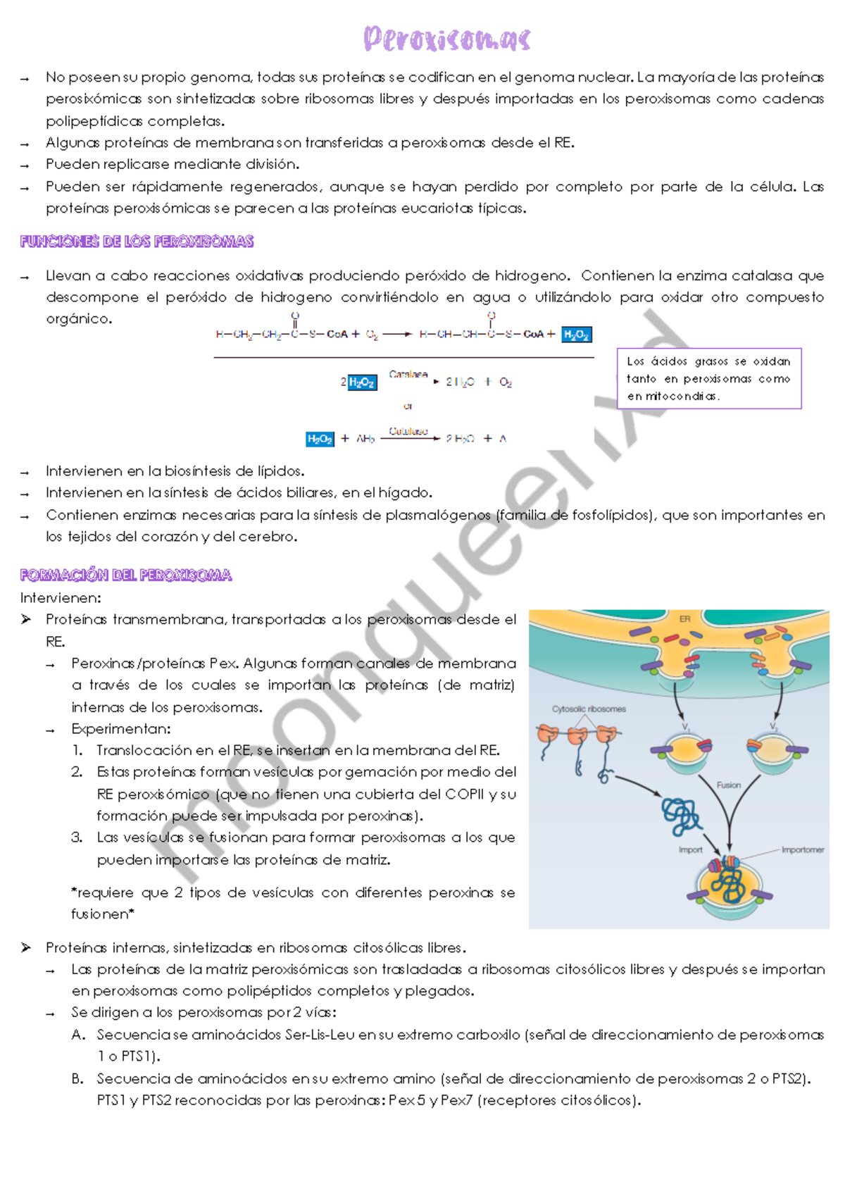 Peroxisomas Resumen Cbc - Introducción A La Biología - UBA - Studocu