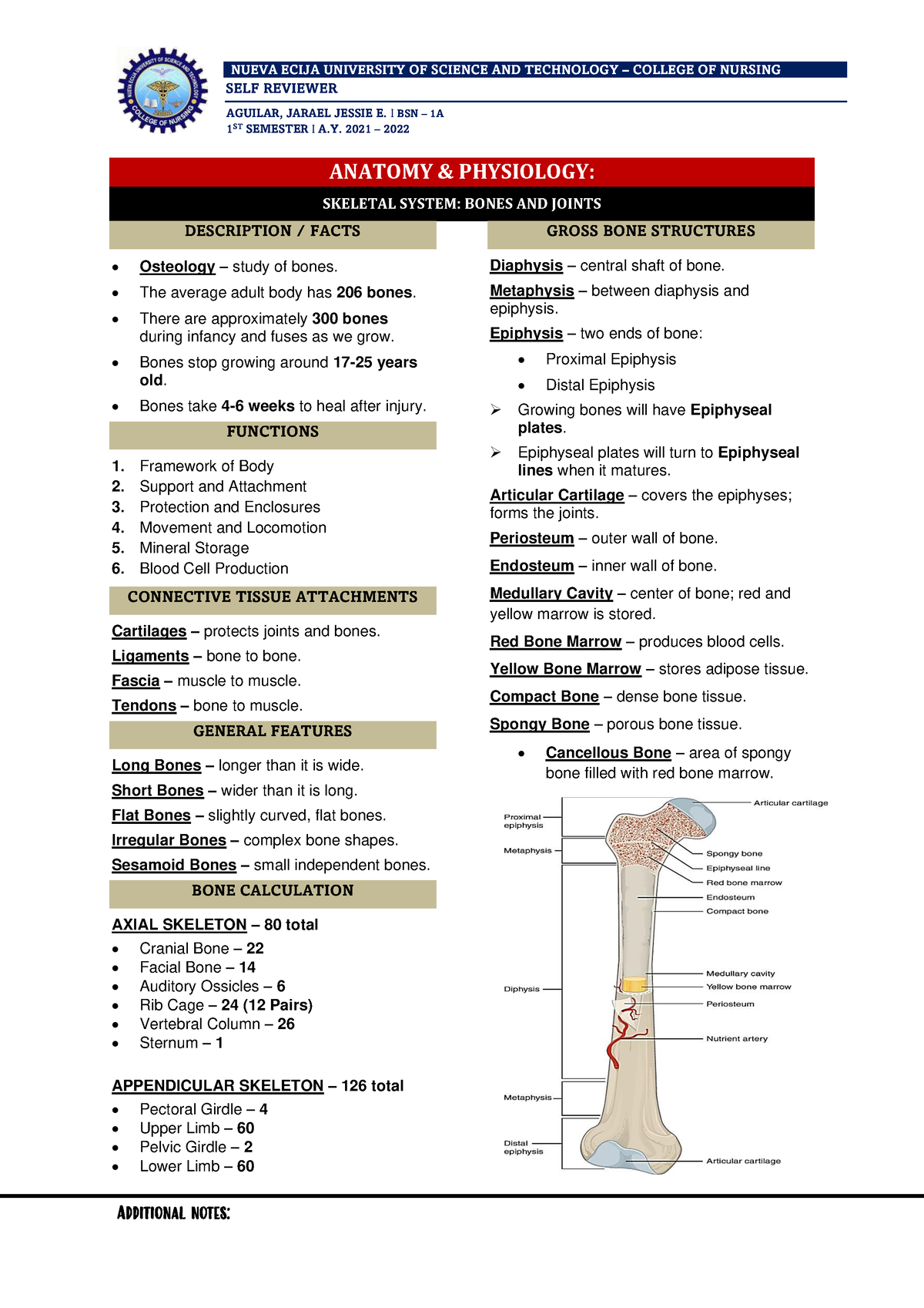 Skeletal- System- Reviewer - SELF REVIEWER AGUILAR, JARAEL JESSIE E. I ...