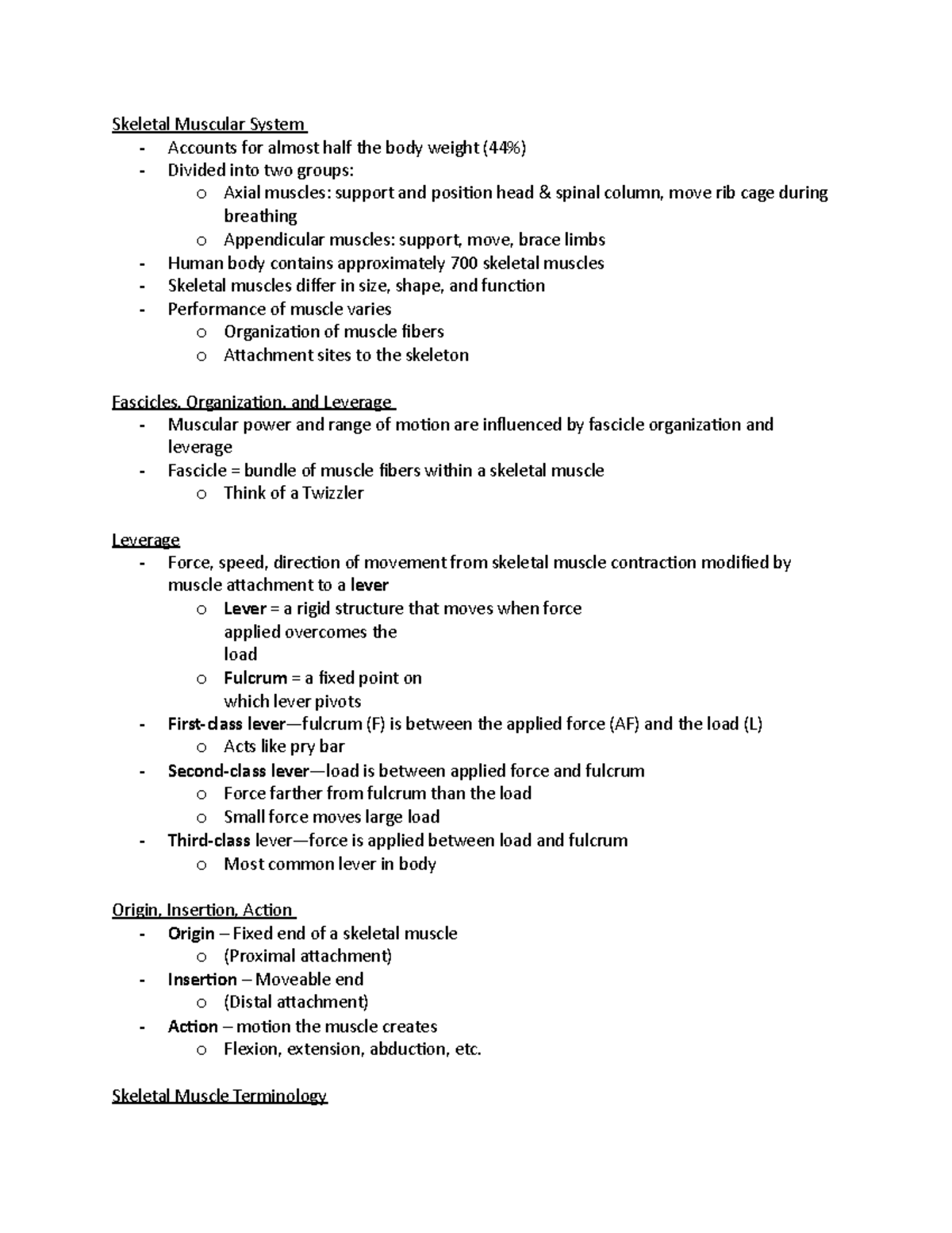 Axial Muscles - Skeletal Muscular System - Accounts for almost half the ...