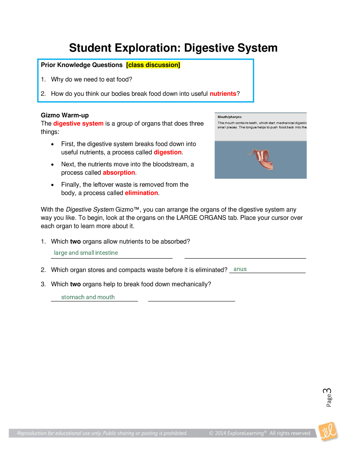 module-8-unit-activity-digestive-system-gizmo-student-exploration