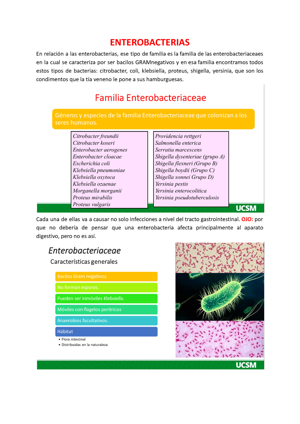 Transcritos - 2DA FASE - Microbiología - ENTEROBACTERIAS En Relación A ...