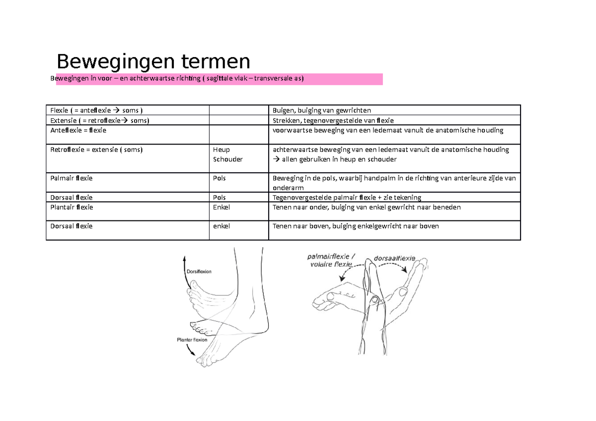 Bewegingen In Vlakken Samenvatting - Bewegingsanalyse - Studocu