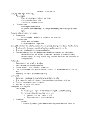 Biology Chapter 9: Cellular Respiration and Fermentation - Thumb 300 388