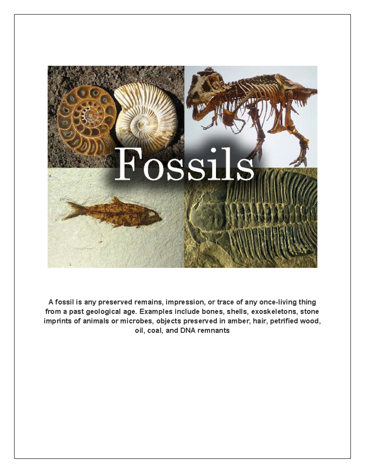 Grade 10 Fossils - Notes - A fossil is any preserved remains ...