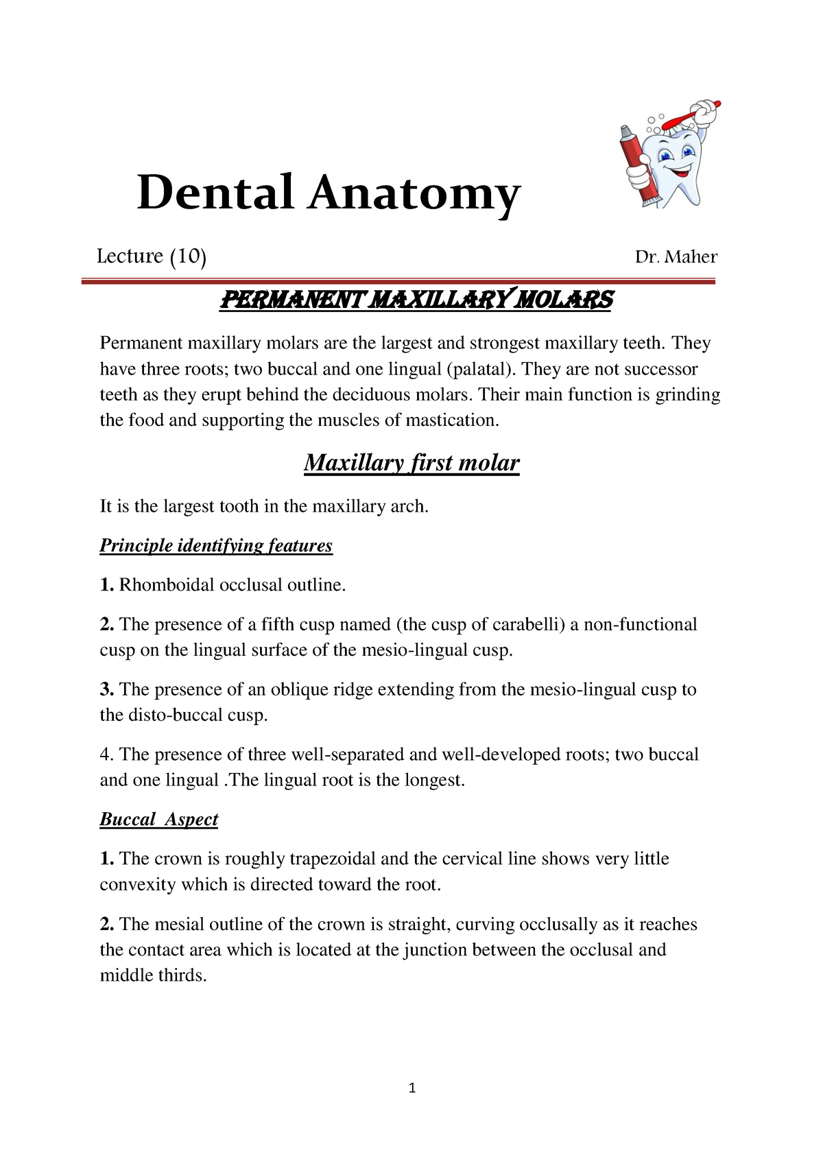 Dental 10 - Dental Anatomy Lecture (10) Dr. Maher Permanent maxillary ...