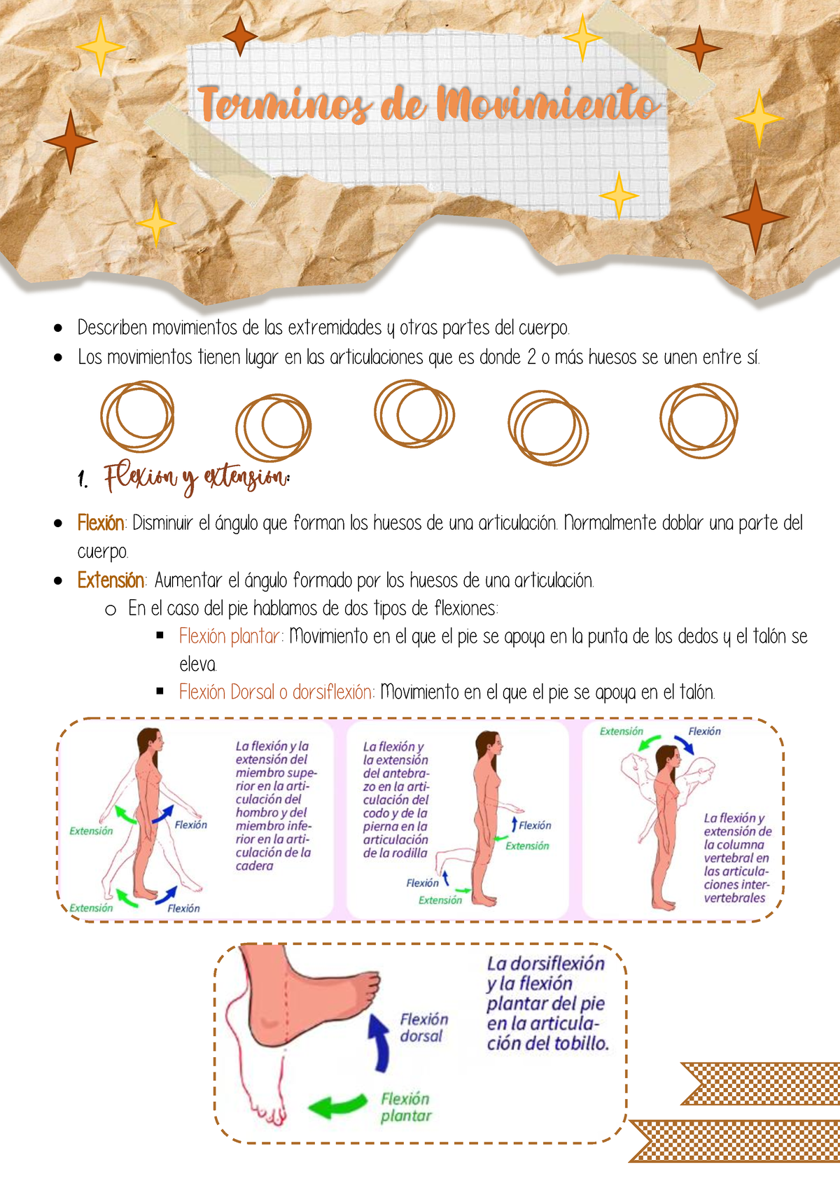 Terminos de movimientos - Describen movimientos de las extremidades y otras  partes del cuerpo. Los - Studocu