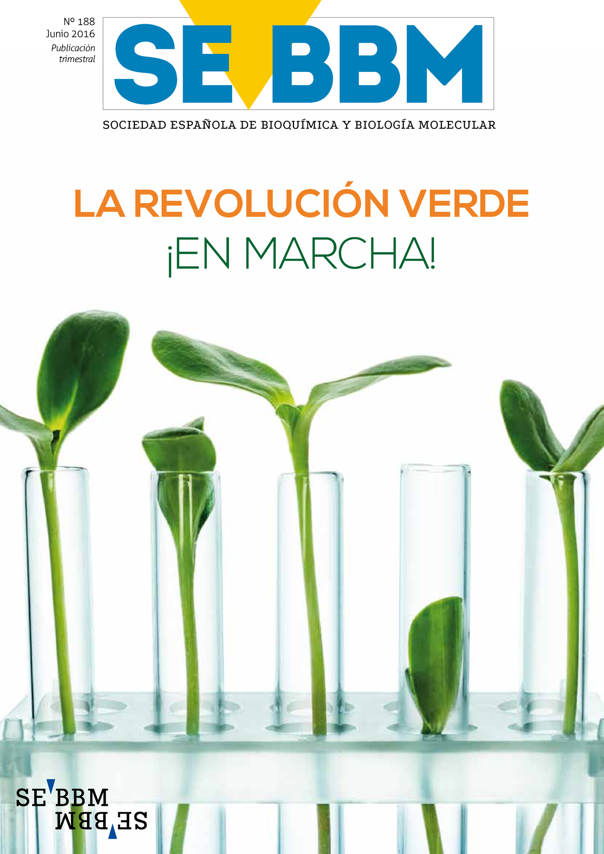 15 La Revolucion Verde En Marcha Y DESARROLLO GLOBAL 12748# - Sociedad ...