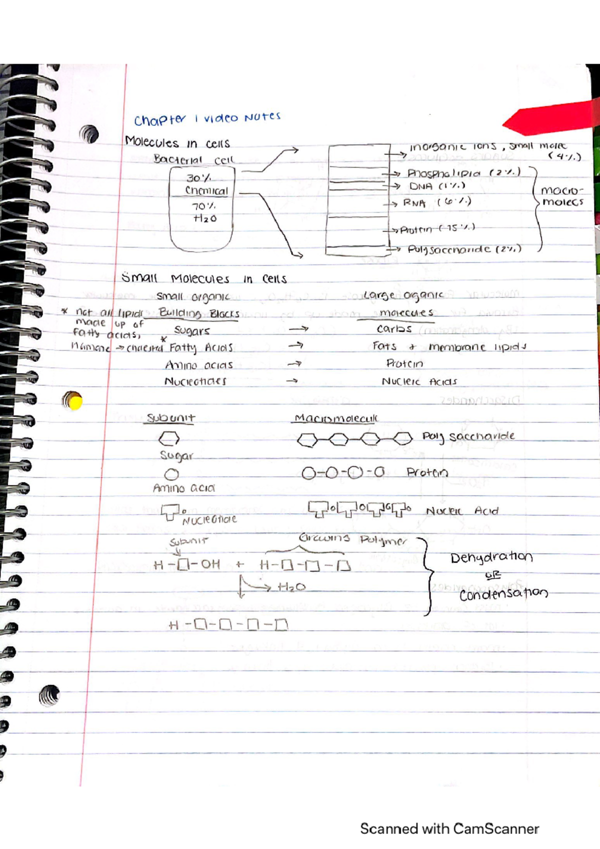 BIOL 430 Chapter 1 Notes - BIOL 430 - Studocu