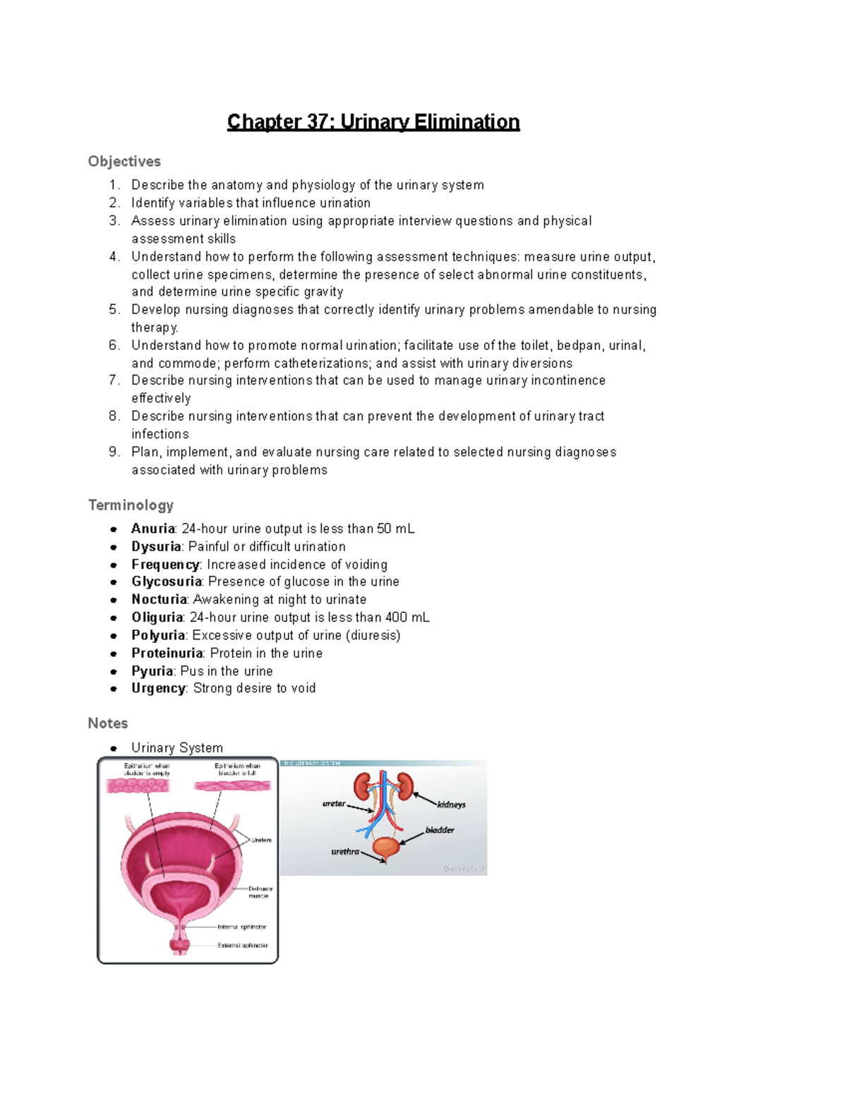 Urine Elimination, Bowel Elimination - Chapter 37: Urinary Elimination ...