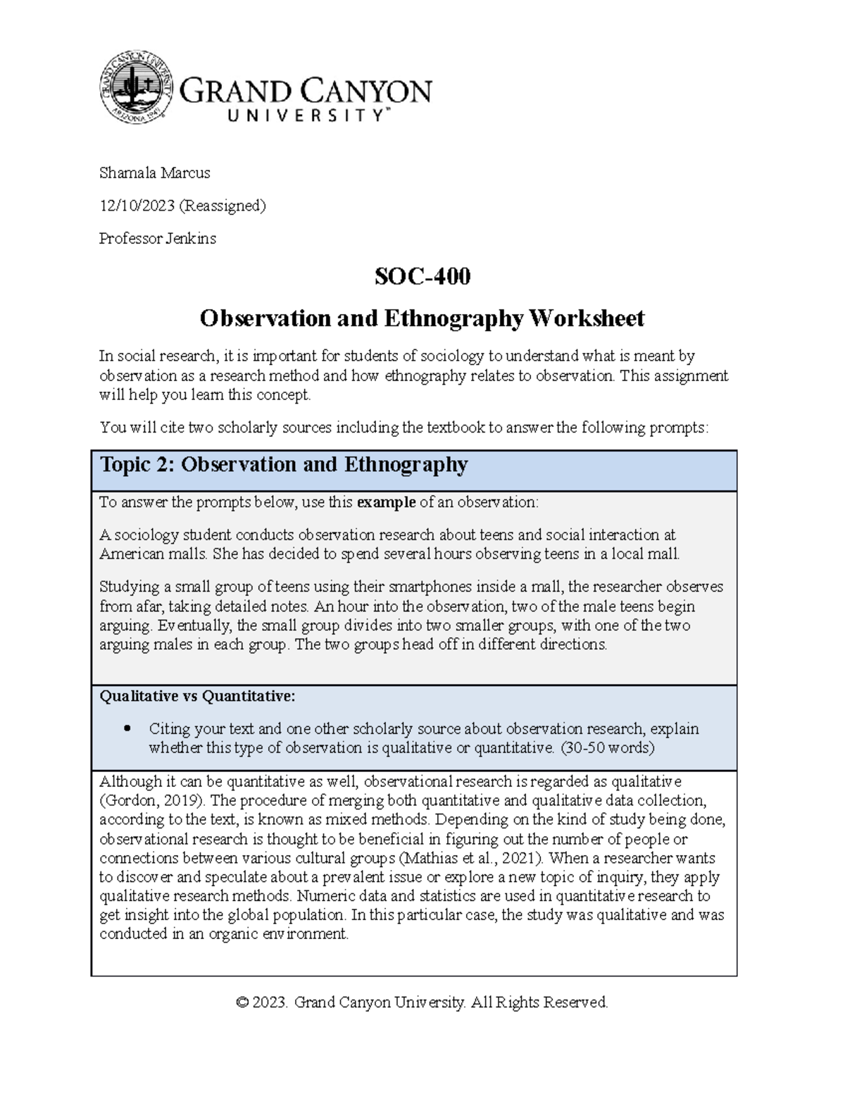 Observationand Ethnography Worksheet - Shamala Marcus 12/10/2023 ...