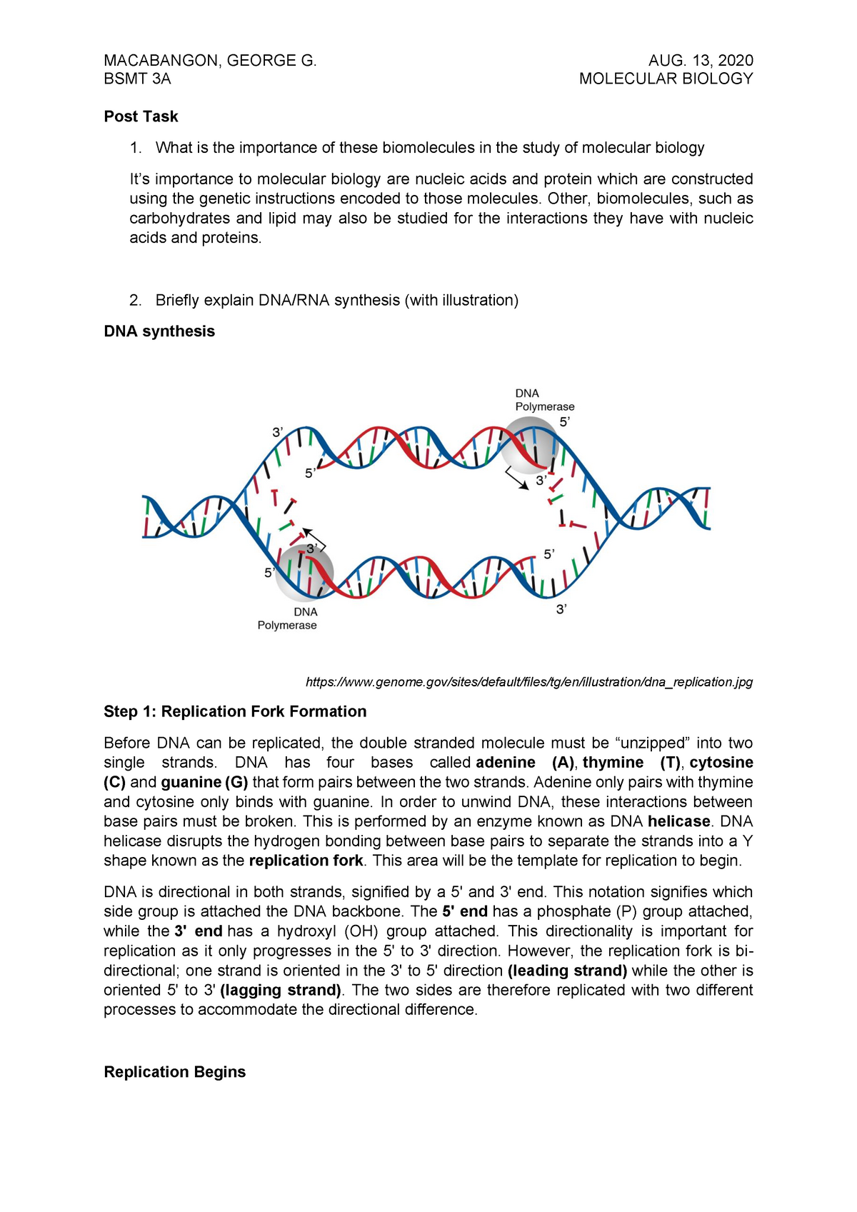 Module 2 Post Task - Medical Technology - Studocu