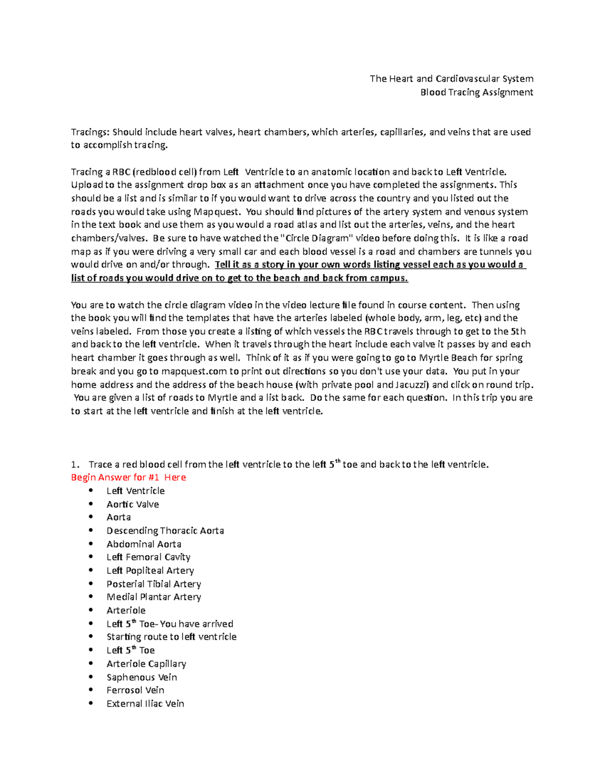 Blood Tracing Assignment - The Heart and Cardiovascular System Blood ...