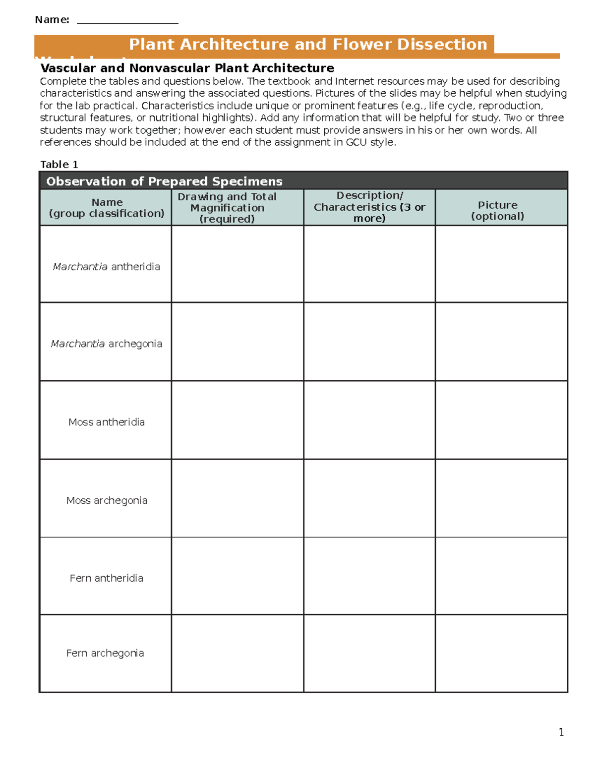 Plant Architecture Worksheet - Vascular and Nonvascular Plant ...