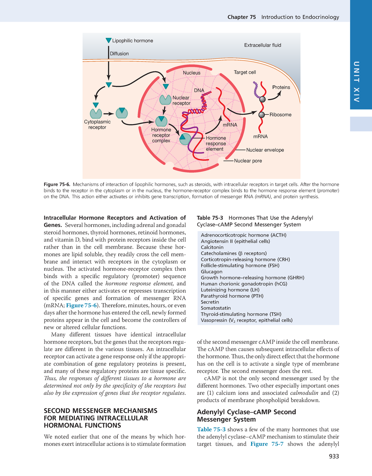 Guyton and hall medical physiology 13nbsped 295 - Chapter 75 ...