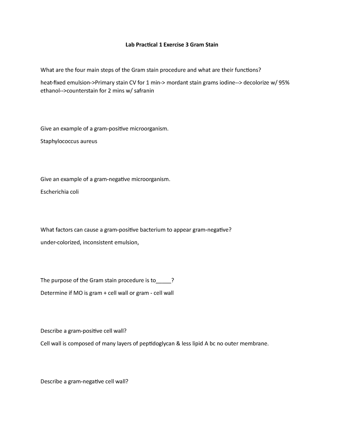 Lab Practical 1 Exercise 3 Gram Stain - Lab Practical 1 Exercise 3 Gram ...