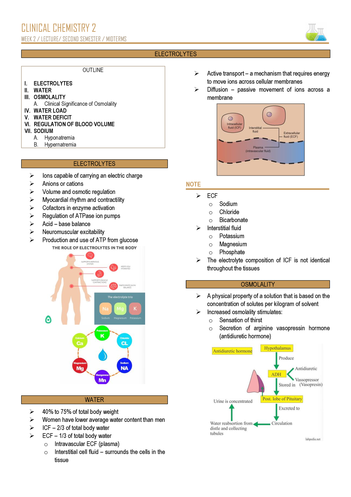 Electrolytes Clin Chem - Clinical Chemistry 2 Week 2   Lecture  Second 