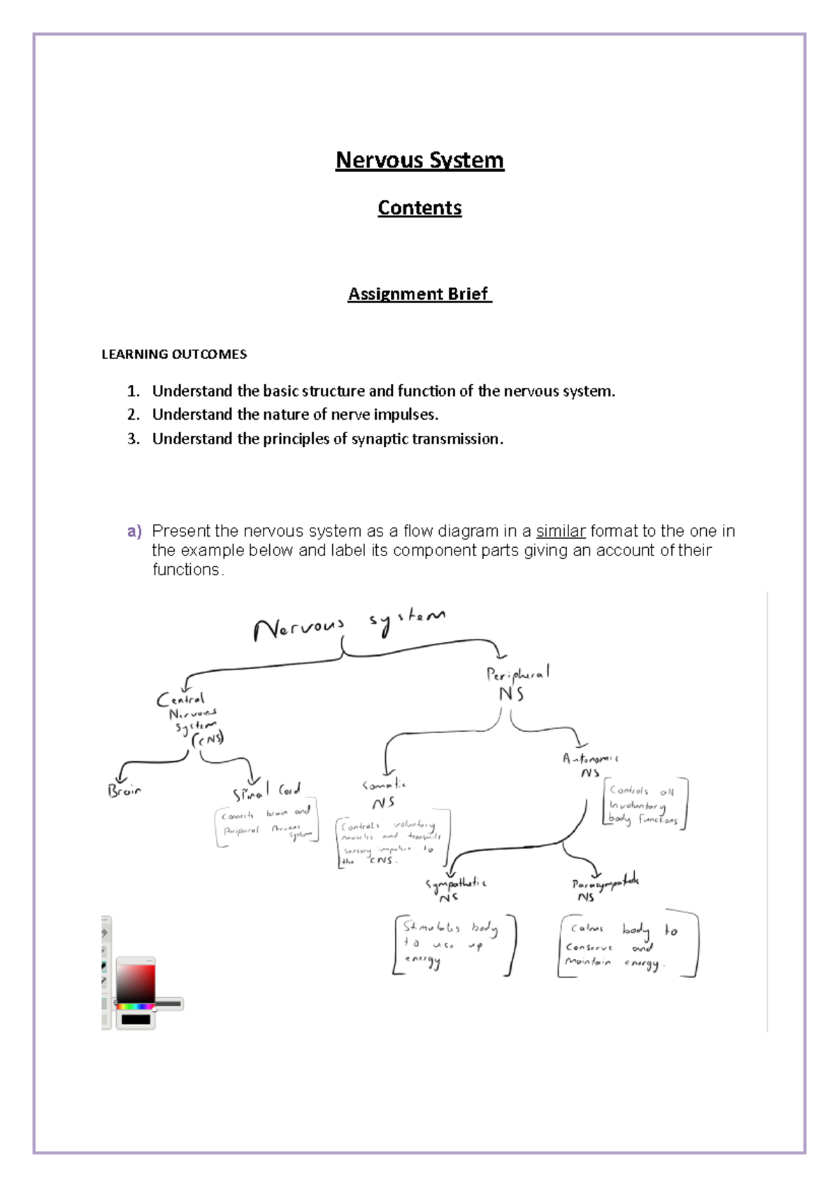 nervous-system-nervous-system-contents-assignment-brief-learning