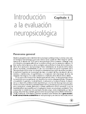 Reporte Y Perfil Neuropsicológico De La Prueba NEUROPSI - INFORME ...