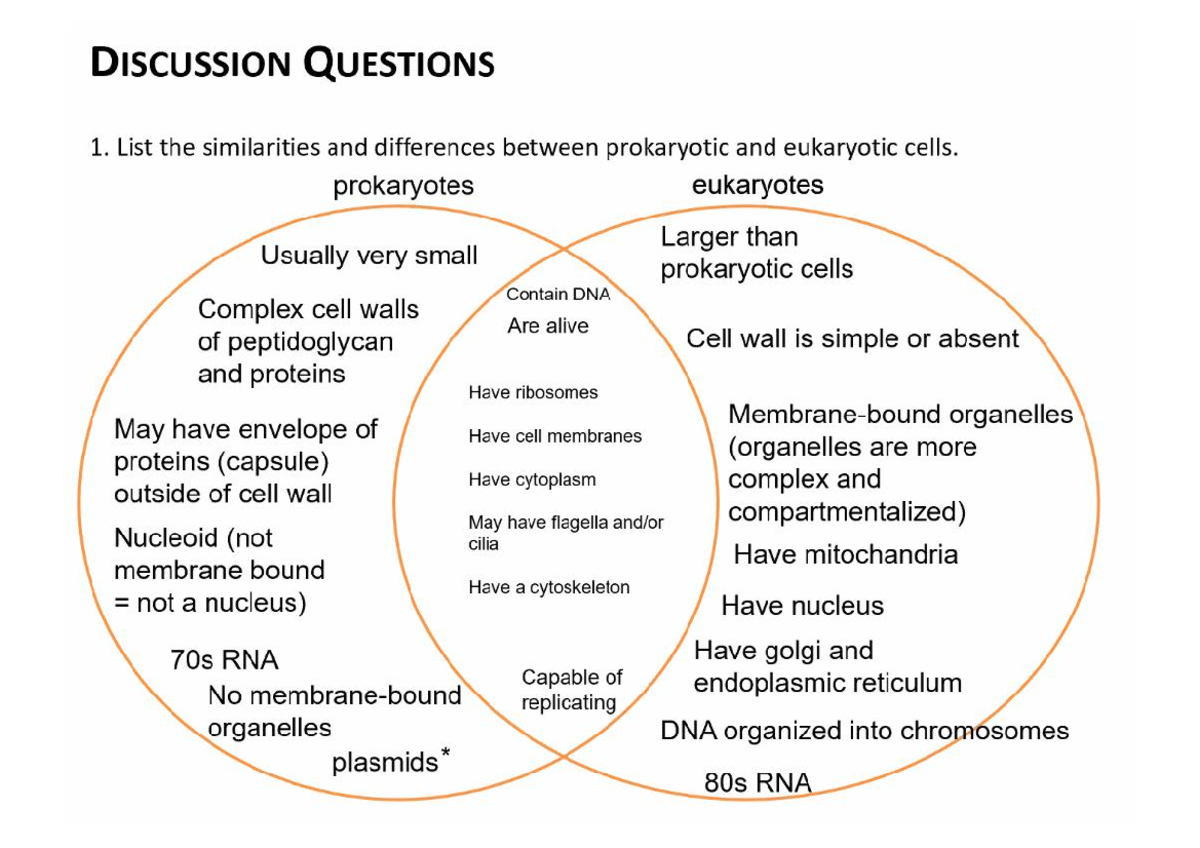 Biol 186 Lab Discussion Questions - Biol 186 - Studocu